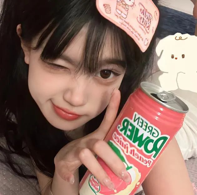 蜘蛛网